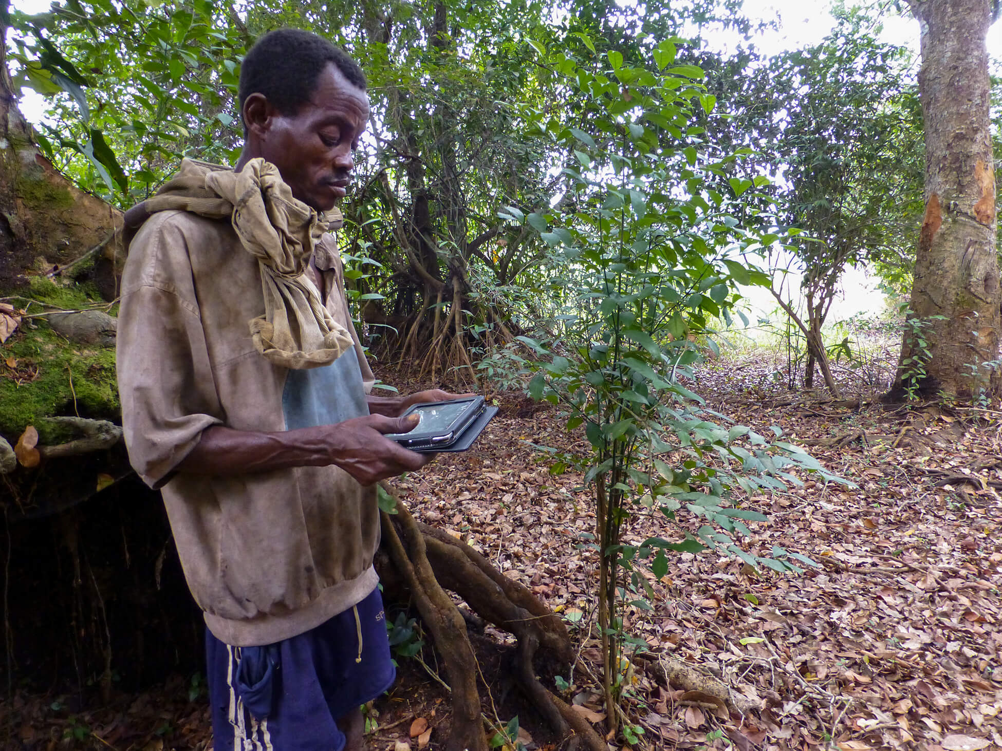Collection of data in the field, DRC – stage 4-2