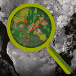 MfRInfoBriefLoggerheads