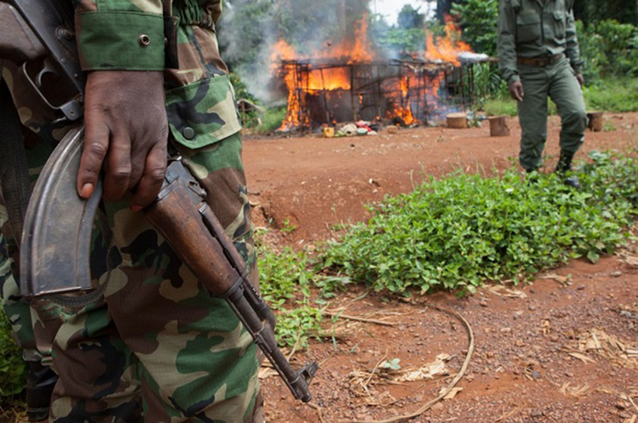 Congo B Cover Image