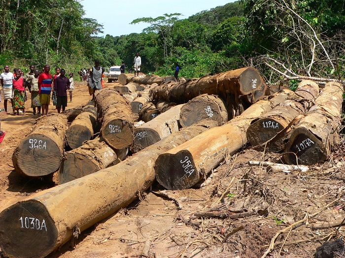 Logging2