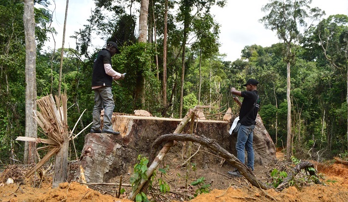 Logging3