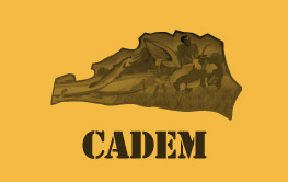 cademgrey